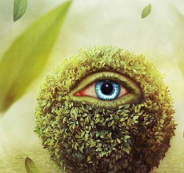 企业破解版的网站防ddos攻击